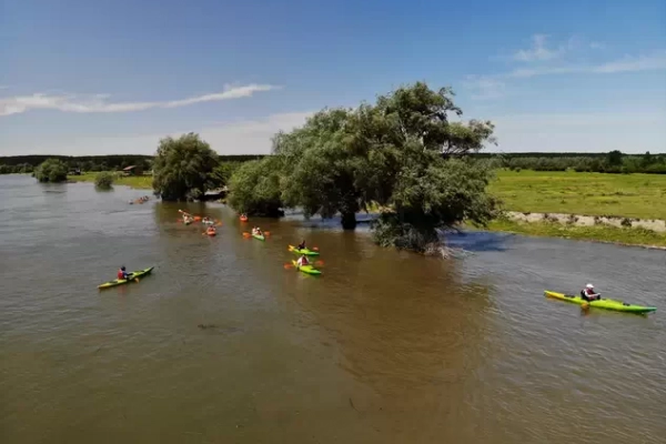 Krčedinski kajak safari